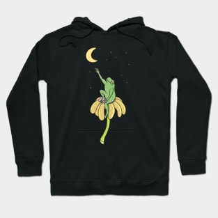 Frog and Moon Hoodie